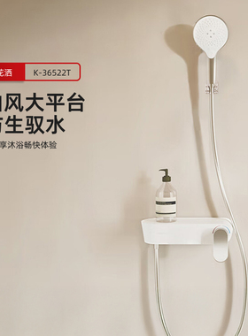 科勒KOHLER斐然花洒龙头挂墙式卫生间小户型增压花洒喷头36522T