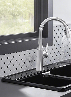 科勒KOHLER卢比克下抽拉式厨房龙头水槽洗菜盆冷热水龙头20147T