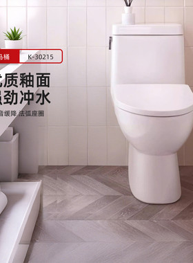 科勒瑞琦丽裙版连体座便器