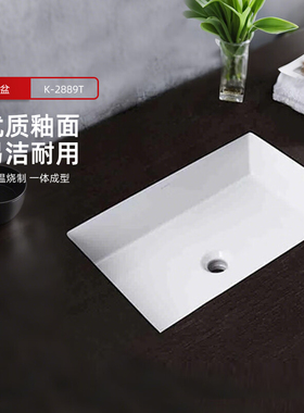 科勒维克台下盆方形洗手洗脸面盆卫生间洗面盆陶瓷浴室台盆2889T