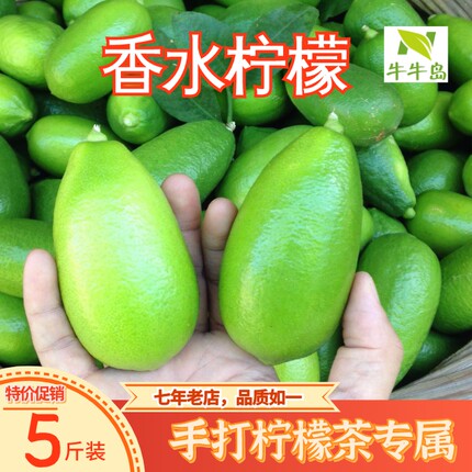 海南香水柠檬新鲜柠檬5斤一级中大果无籽香青柠檬水果现摘多汁