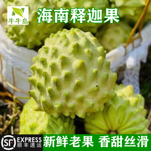 顺丰海南释迦果新鲜水果番荔枝番荔枝一级三亚热带水果