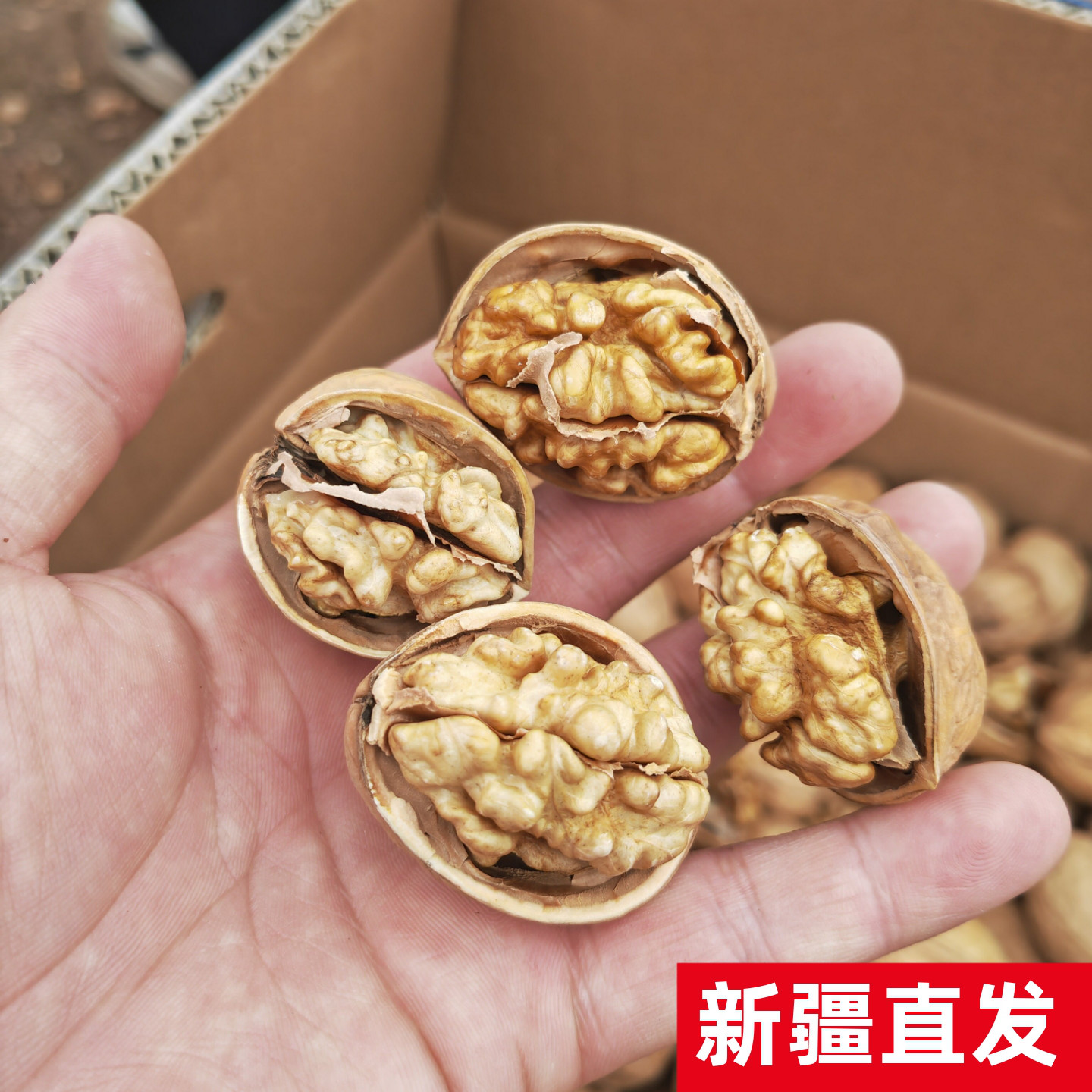 新疆薄皮核桃无漂白原生态2斤