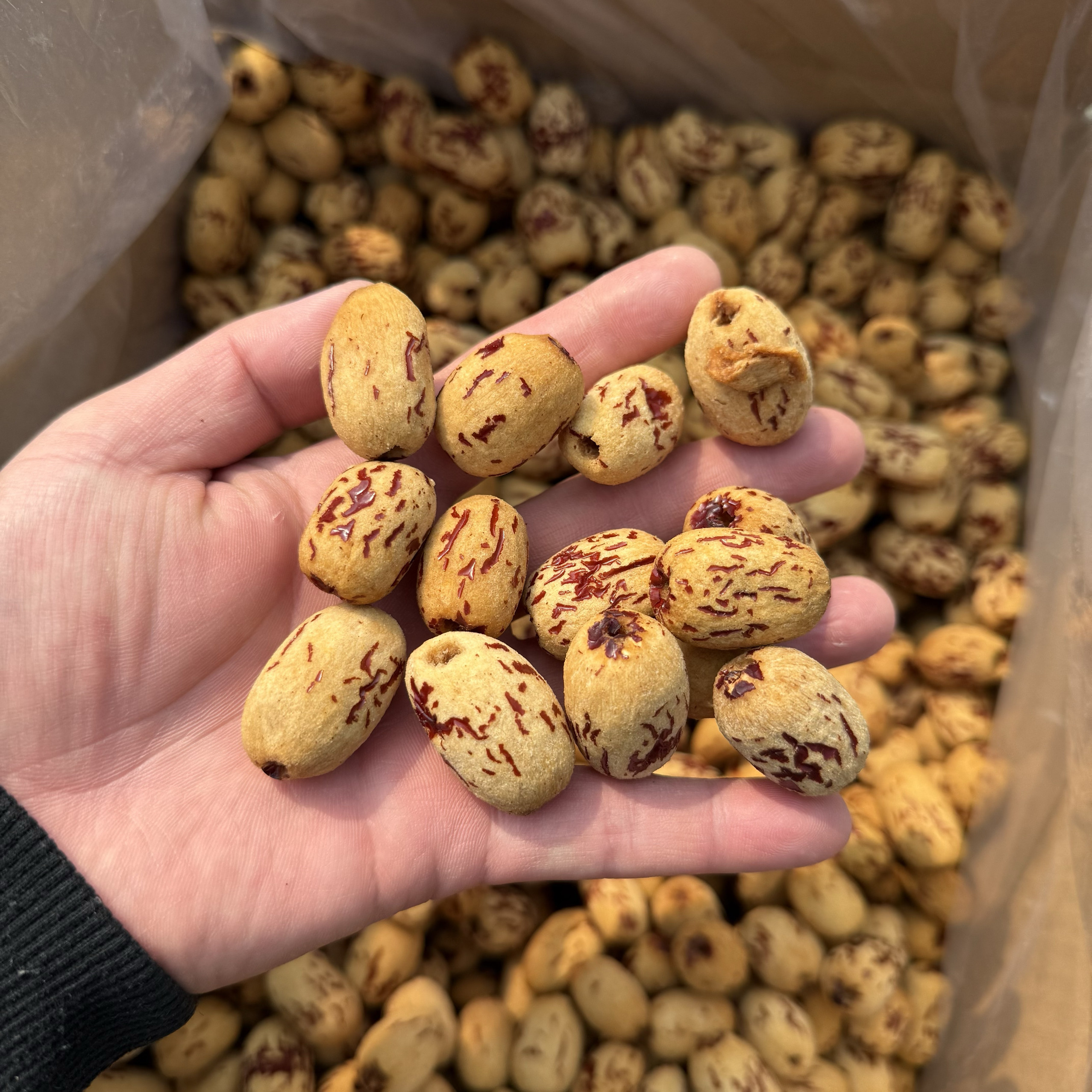 华北枣农去皮虎皮枣500g新疆红枣脱皮去核红枣煮粥枣无核枣泡茶