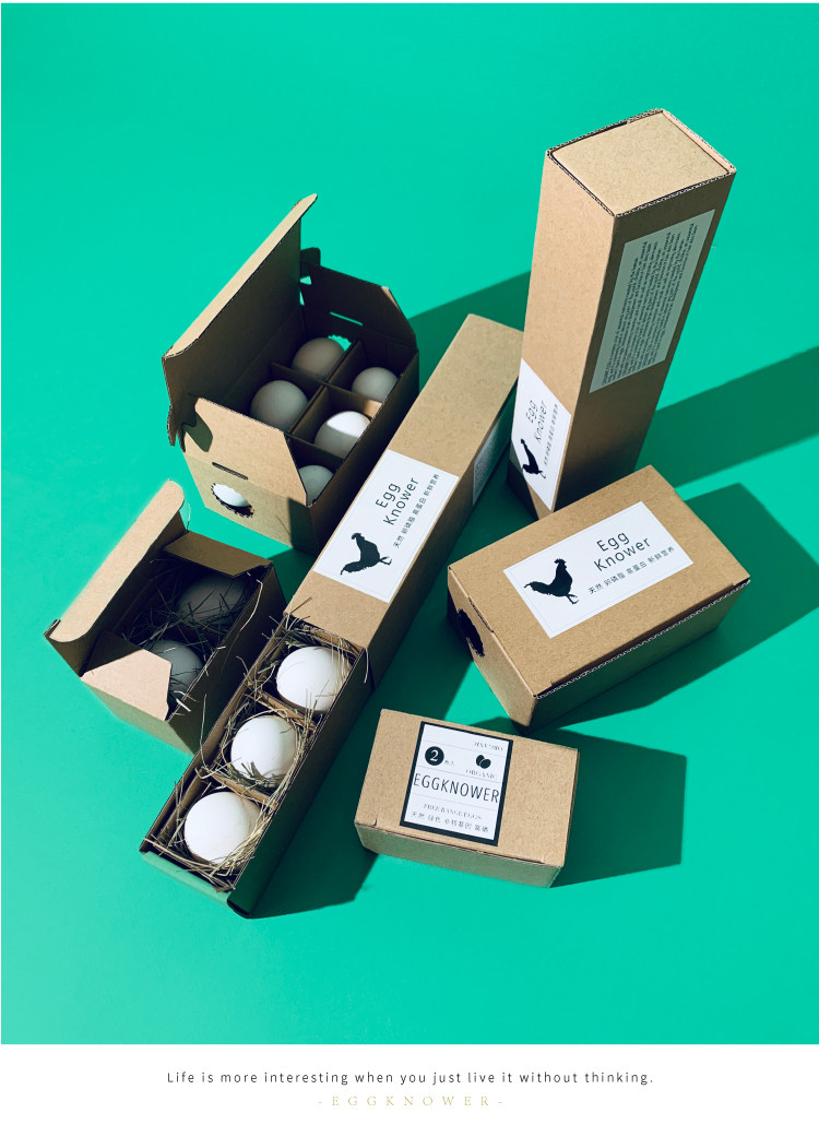 创意鸡蛋包装盒2枚、5枚、6枚