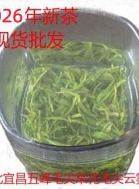 五峰毛尖春茶新茶炒青绿茶