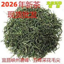 邓村毛尖宜昌2026年新绿茶湖北三峡毛尖超级峡州碧峰五峰萧氏500g