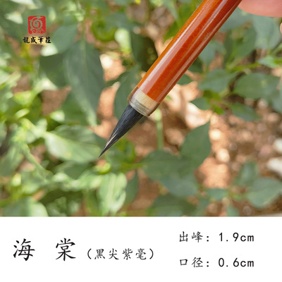 （龙盛笔庄）海棠 黑尖紫毫毛笔 出锋1.9 适合各种小楷字体