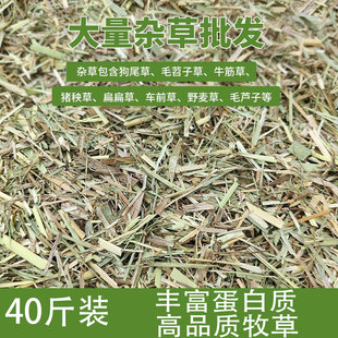 草料羊饲料专用批发牛羊马粮梅花鹿喂羊养羊吃的养殖牧草干草