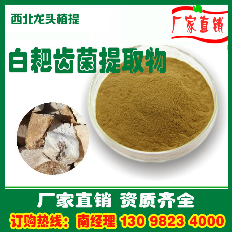 白耙齿菌提取物粉10：1内含速溶水溶浓缩浸膏粉熟粉1KG厂家直销