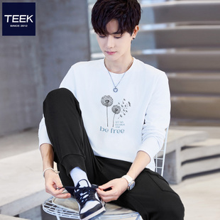 秋季 T恤百搭打底衫 内穿蒲公英印花大学生简约上衣服 长袖 TEEK男装