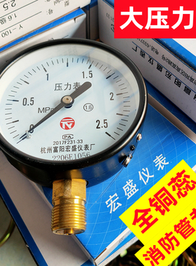 消防水管压力表 0-1.6全铜4分螺纹100表面 2.5mpa球阀 缓冲管