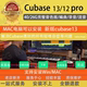 音乐制作编曲混音后期制作win Cubase13 mac远程安装 12pro中文版