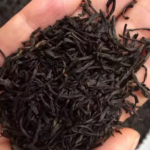 春茶夏莲 武夷山 好喝的红茶 小种 散装 每份250克 现货