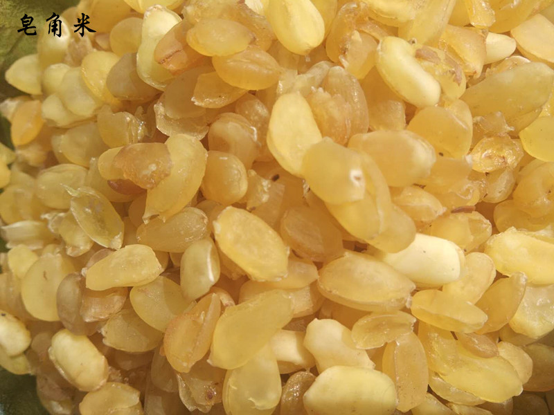 双夹皂角米天然野生煲汤甜品