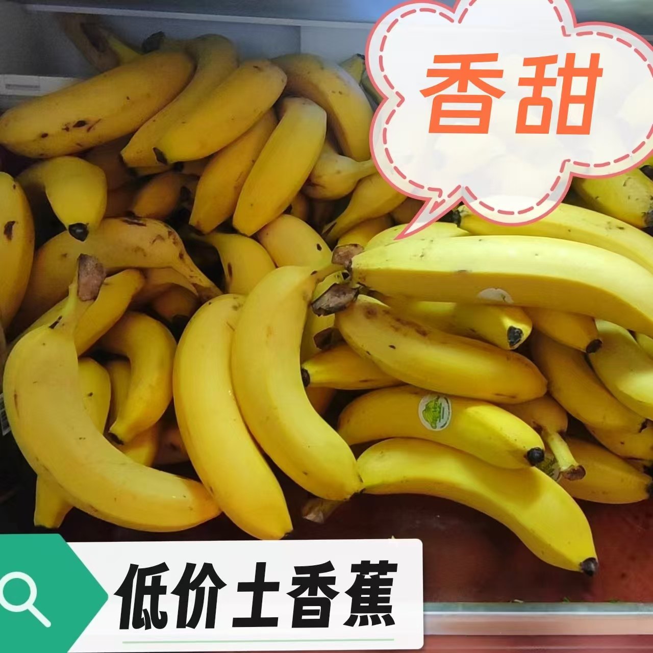 广西本地蕉土香蕉单根香蕉净重当季新鲜纯甜青蕉发货,水产肉类/新鲜蔬果/熟食,香蕉,淘宝优惠券,粉丝福利购,淘宝优惠卷