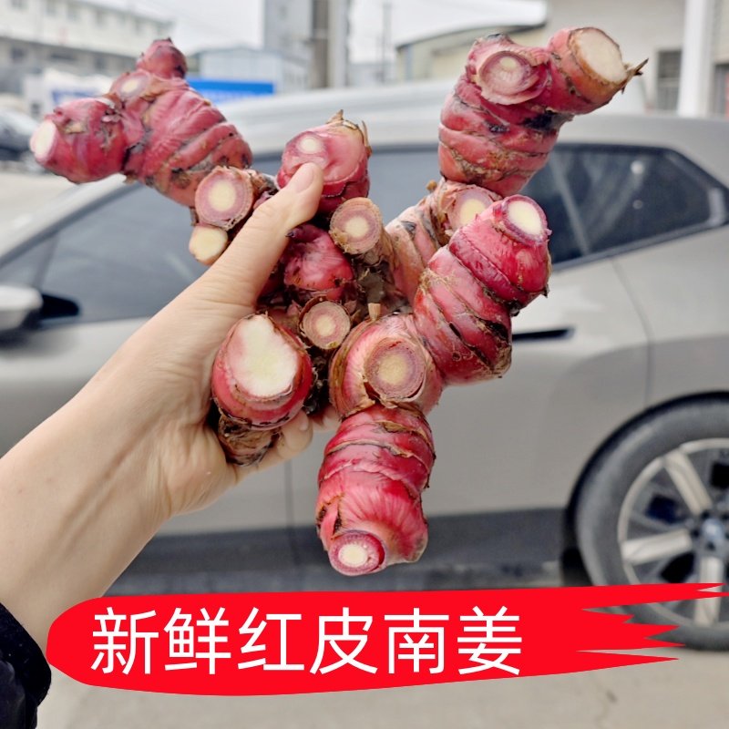 南姜潮汕新鲜包邮 精选山姜牛羊肉火锅卤味去膻提味调料南姜