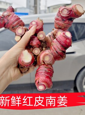 南姜潮汕精选牛羊肉火锅卤味