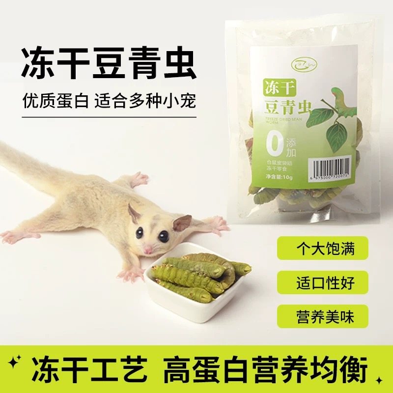 蜜袋鼯零食冻干青豆虫补充营养仓鼠花枝鼠互动零食冻干虫零食用品,宠物/宠物食品及用品,鼠类零食,淘宝优惠券,粉丝福利购,淘宝优惠卷