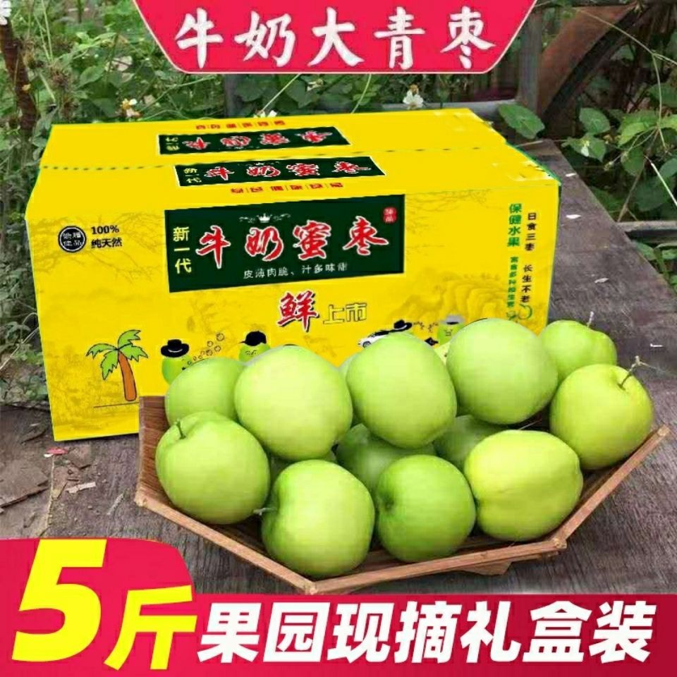 礼盒装牛奶青枣果园直销脆甜多汁