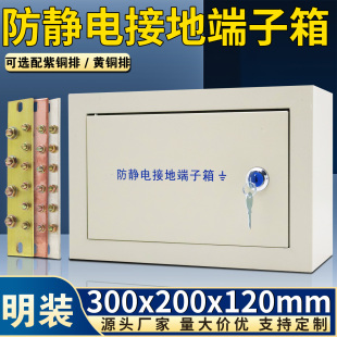 明装防雷防静电接地端子箱30*20等电位联结接地箱配绝缘端子铜排