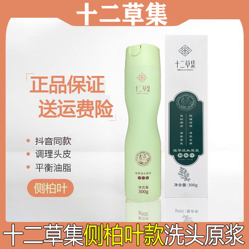 十二草集侧柏叶款植萃洗头原浆