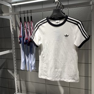 Adidas三叶草 女子运动休闲潮流经典修身短袖T恤 KD3683 KD3684