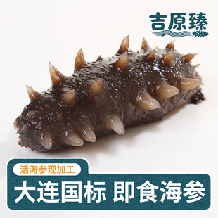 辽宁大连即食海参500g顺丰包邮辽刺参深水海参送礼独立包装