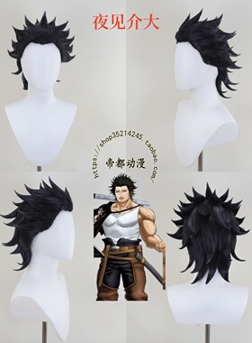 黑色五叶草 夏洛特 洛兹莱伊 夜见介大 法格莱恩凡米利安 cos假发