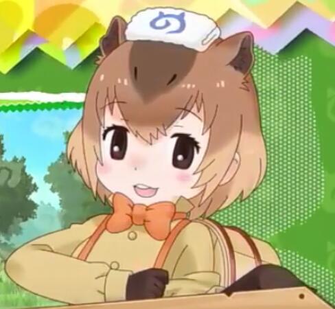 动漫cosplay假发套COS兽娘动物园水豚挑染双色短款深22定制假毛