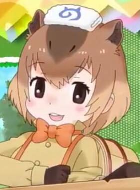 动漫cosplay假发套COS兽娘动物园水豚挑染双色短款深22定制假毛