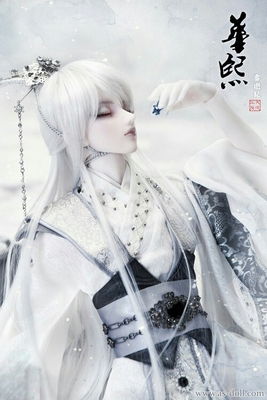 cosplay假发 COS假毛 华熙 古装男款 银灰色  定做假毛