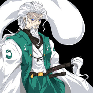 cosplay假发 COS 东方妖妖梦 东方Project 魂魄妖忌 定做假毛