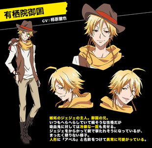 cosplay假发 COS假毛 吸血鬼仆人 有栖院御国 定做假毛