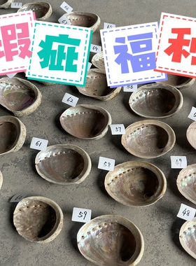 福利回馈链接2～天然澳洲鲍鱼贝壳DIY创意香皂盒装饰品鼠尾草器具