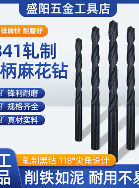 天工工具W4341高速钢直柄麻花钻轧制黑色直钻头打孔0.5-20mm正品