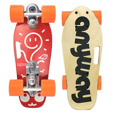 专业陆地冲浪板ANYWAY