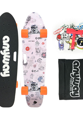 anyway29.5”幻影陆地冲浪板手提枫木大鱼板初学者滑板滑雪刷街