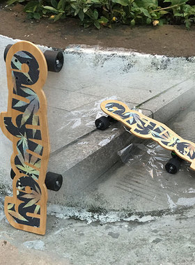 anyway概念设计新超炫酷大鱼板小鱼板复古公路板校园代步潮流陆冲