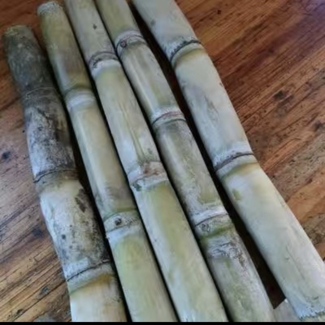 广西阳朔福利青皮甘蔗水果新鲜甘蔗当季甜杆脆孕妇紫非青皮紫皮