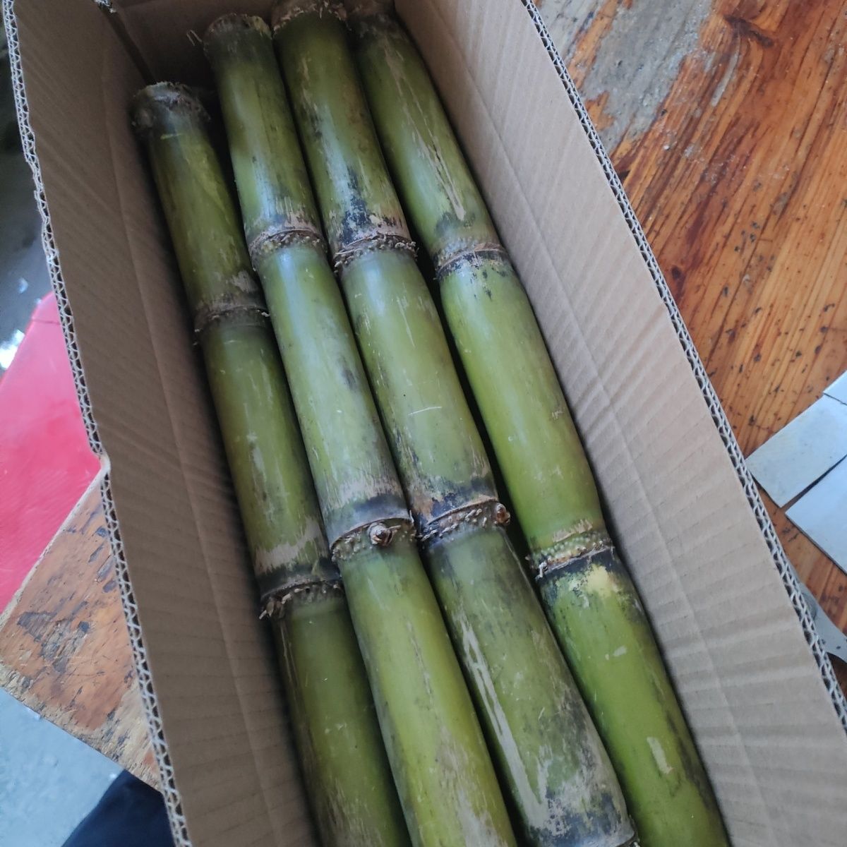 广西阳朔福利青皮甘蔗水果新鲜甘蔗当季甜杆脆孕妇紫非青皮紫皮