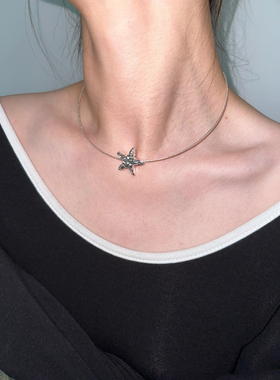 褶皱纹理五角星项圈项链