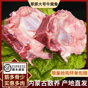 内蒙古黄牛牛窝骨牧民散养新鲜带肉多筋原切牛膝盖骨牛腩牛腱子肉