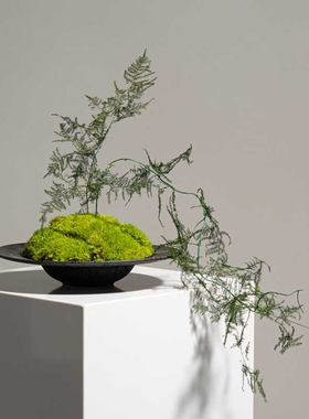 新中式永生苔藓花艺电视柜仿真文竹艺酒店样板间假花软装饰品摆件