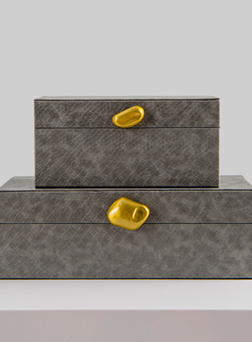 家居客厅样板房间轻奢风首饰盒