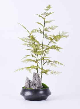 新中式风禅意仿真茶室软装饰品