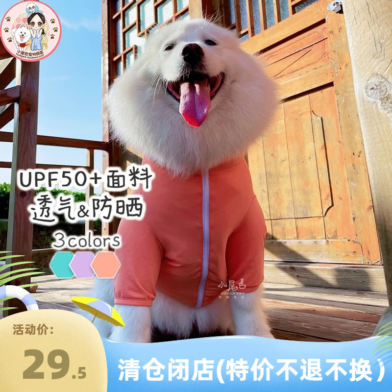 清仓中大型犬狗狗萨摩金毛