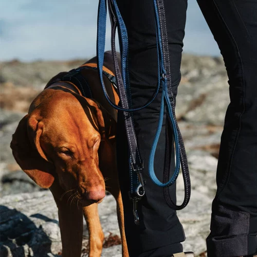 Финская Hurtta Tuo Tuo Casual Direction Bands с маленькими средними большими собаками и собаками Золотые волосы