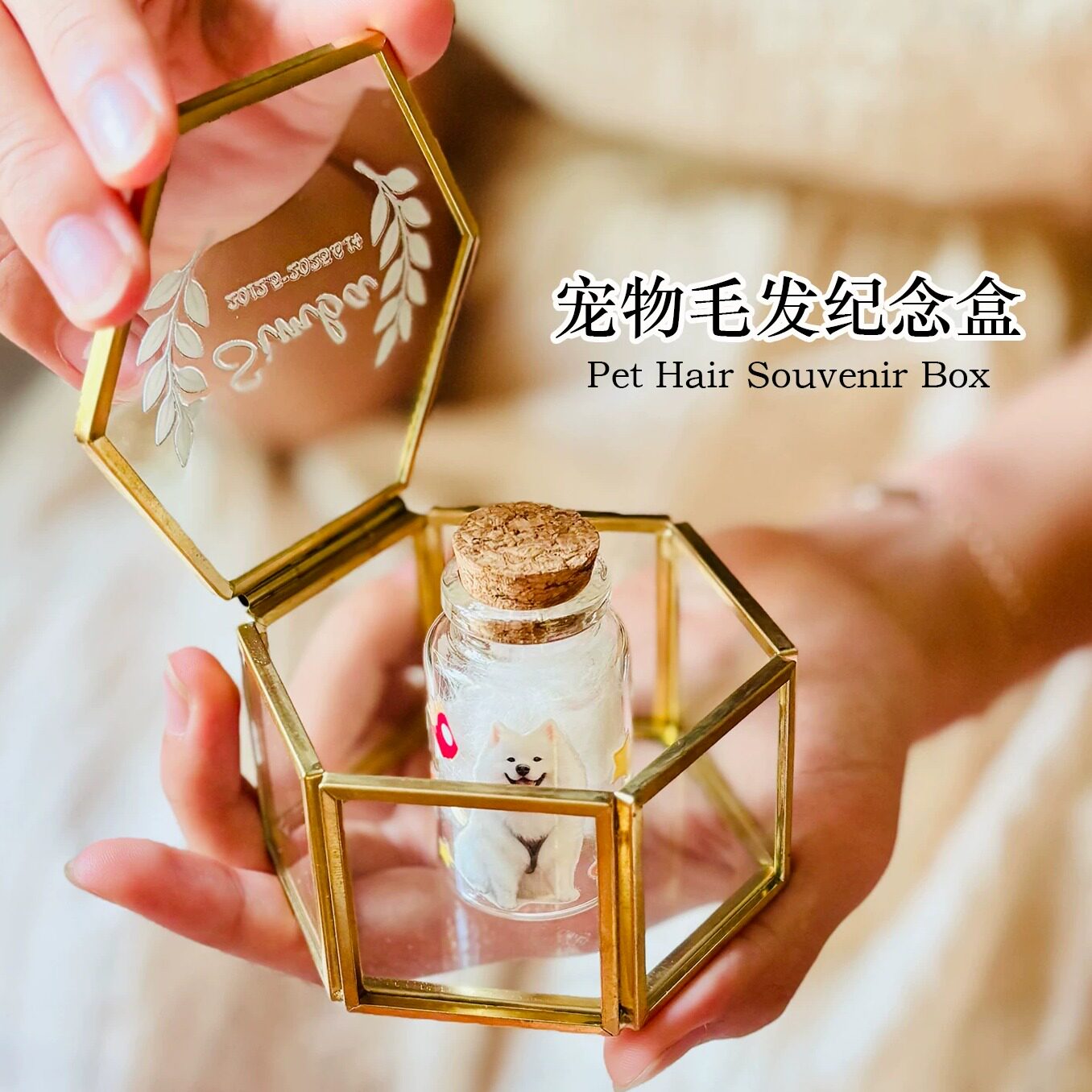 匠为宠物胎毛照片盒来图定制