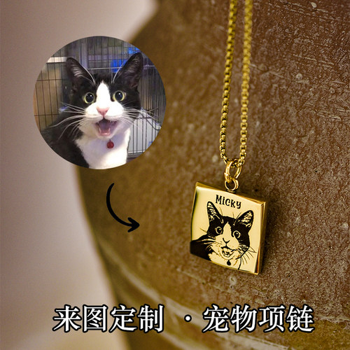 来图定制纪念宠物项链照片礼物